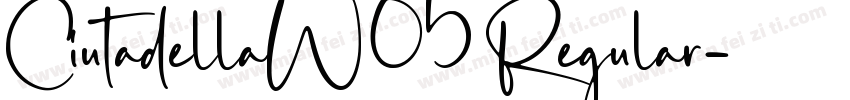 CiutadellaW05 Regular字体转换